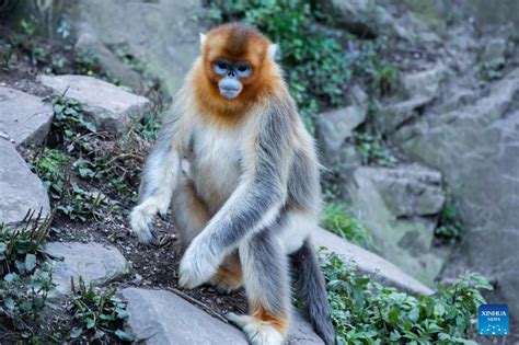 玉合公園咋样？從多維度細數其魅力